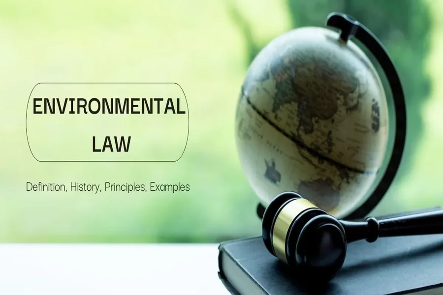 Environmental Law Pollution Control Rules